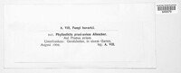 Image of Peyronellaea pruni-avium